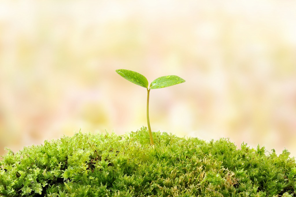 未経験歓迎！手厚いサポートありの設備工事会社で成長しませんか